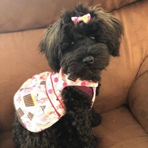 Meet your Posher, Barbara